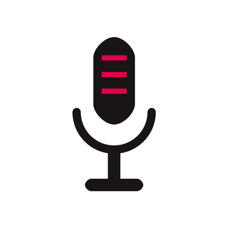 Dual Wireless Microphone