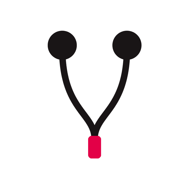 Wired Earphones (Type-C)